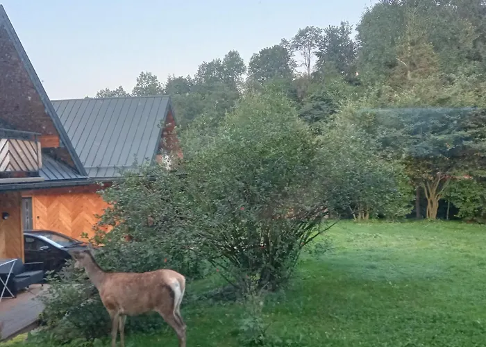 Przy Skwerku Dağ evi